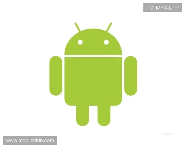 新手必看，BBINapp登录步骤详细解析及常见错误解决方案